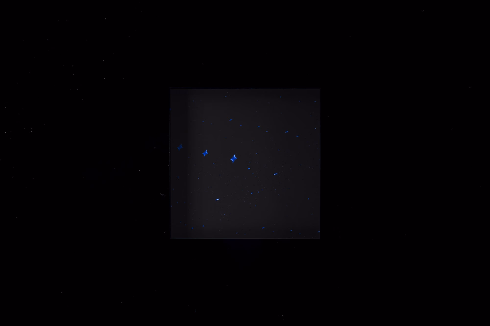 Vista de instalación de Cosmos de Arturo Fermandois, Universidad Andrés Bello, Santiago, Chile, 2025 (27)